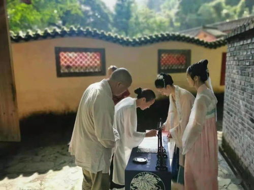 書院雅集丨辛丑年傳統(tǒng)文化藝術(shù)雅集孟夏之約暨首屆傳統(tǒng)文化大家談主題論壇活動(dòng)在趙公山成功舉辦